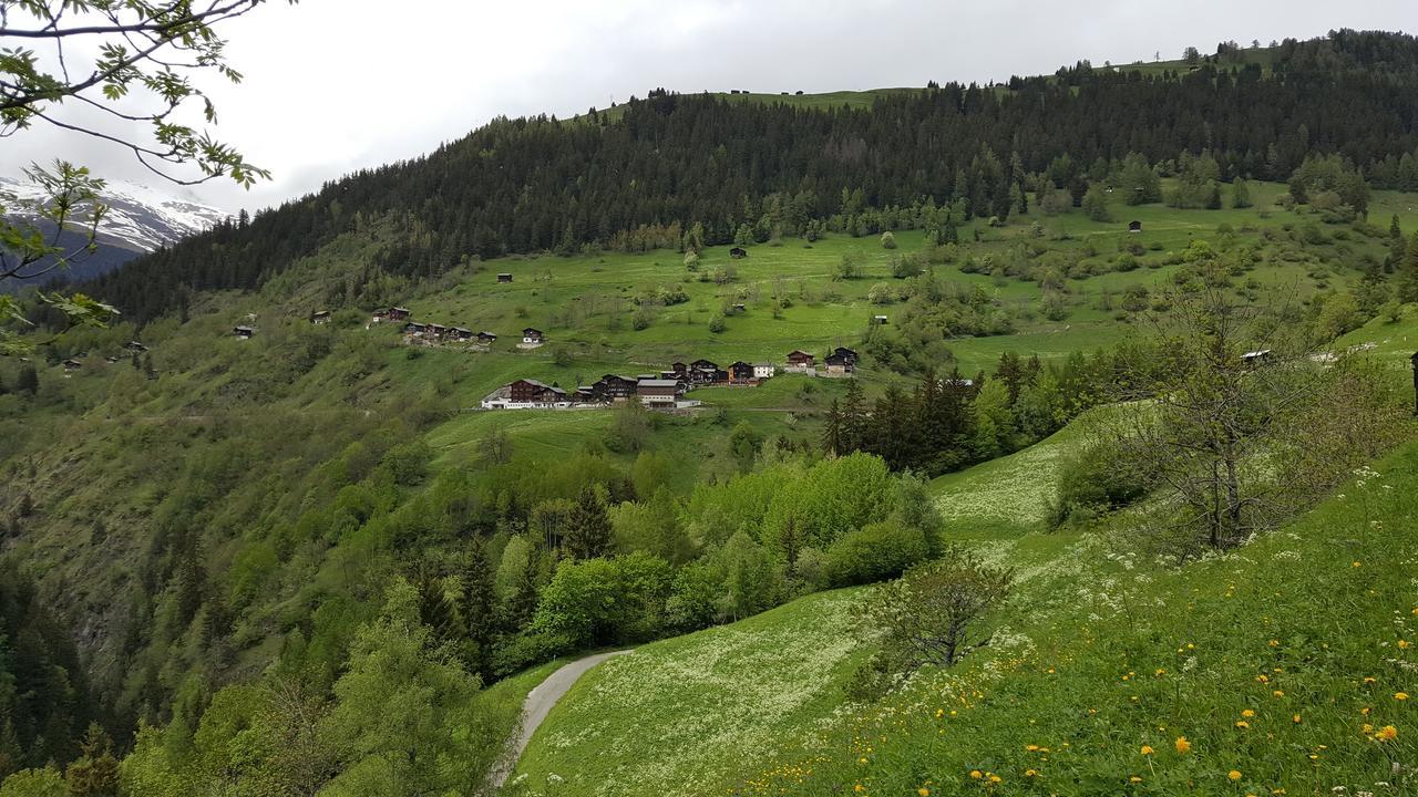 Hotel Jagerheim Ausserbinn Exteriér fotografie